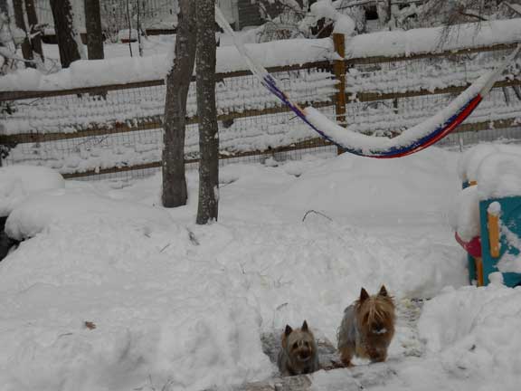 snow-13